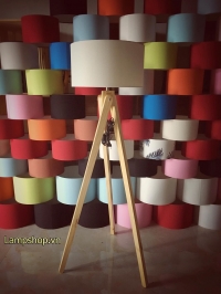 Floor lamp 