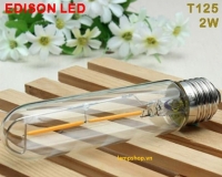 Led edison light T125 - 2w