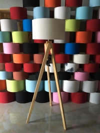 Living room lamp